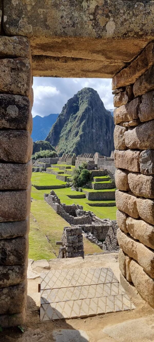 CUZ-003 CUSCO SHORT SCAPE - Image 5